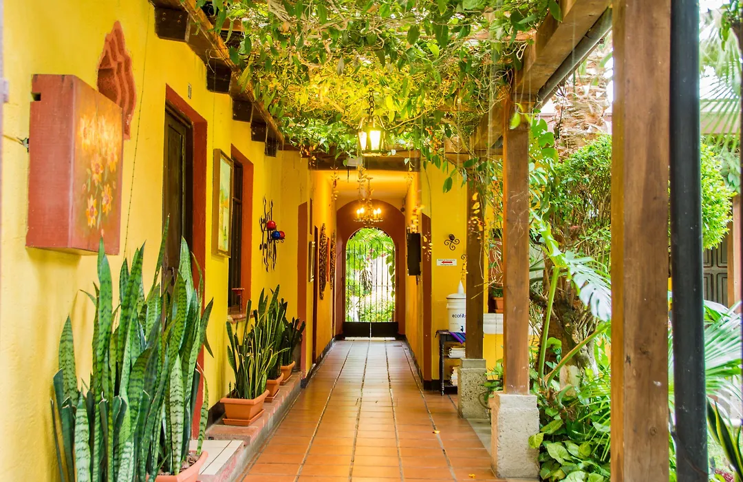 Hotel Casa Antigua By Ahs-1