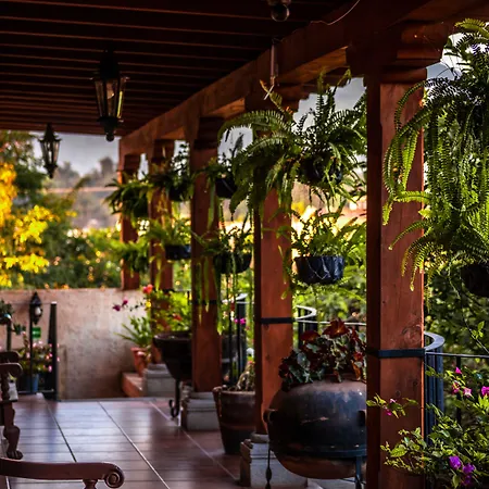 Naif Boutique Hotel-3